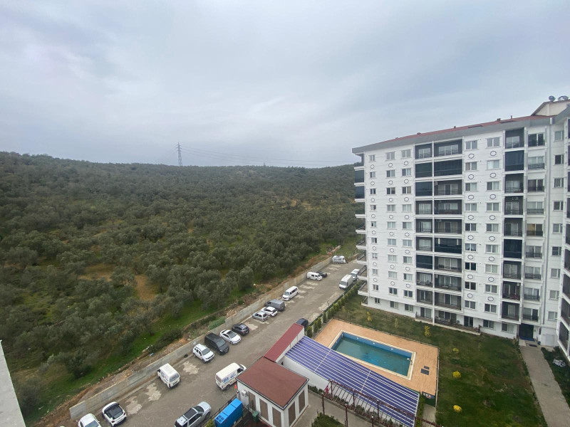 img-property